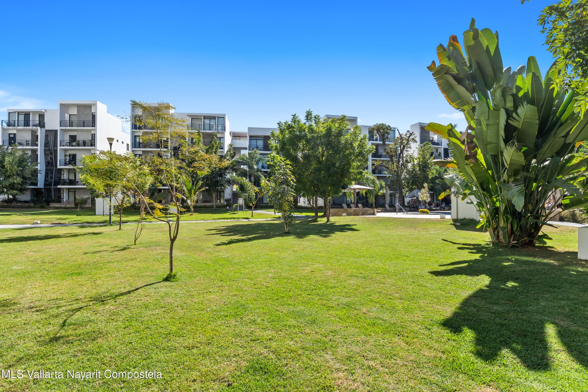 447 Av. Mezquite 26