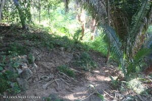 21-Frac 3 Calle Chachalaca 4