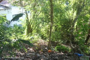 21-Frac 3 Calle Chachalaca 5