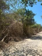 Km 1.5 Carretera Sayulita Pazcuarito 7