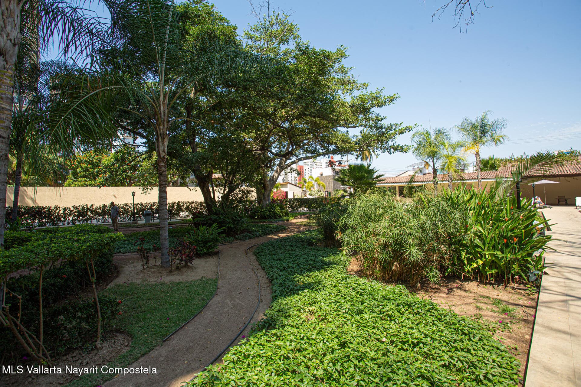 Manyara 37