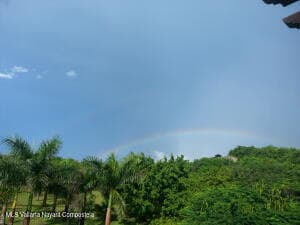 X CARRETERA A PUNTA MITA 7