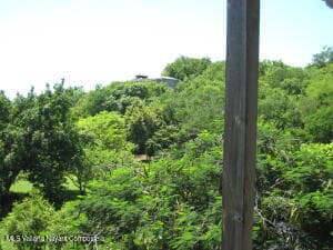 X CARRETERA A PUNTA MITA 6