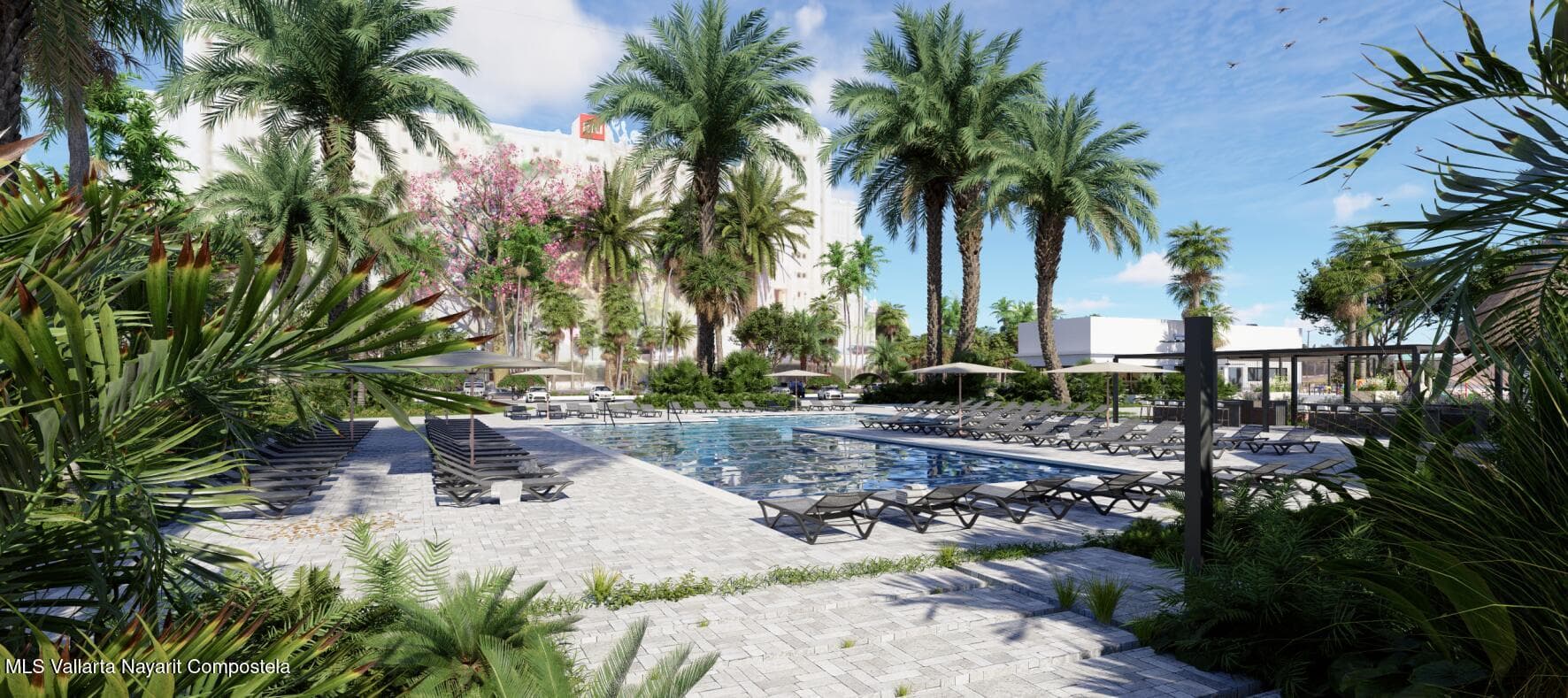 Flamingos Paradise 3