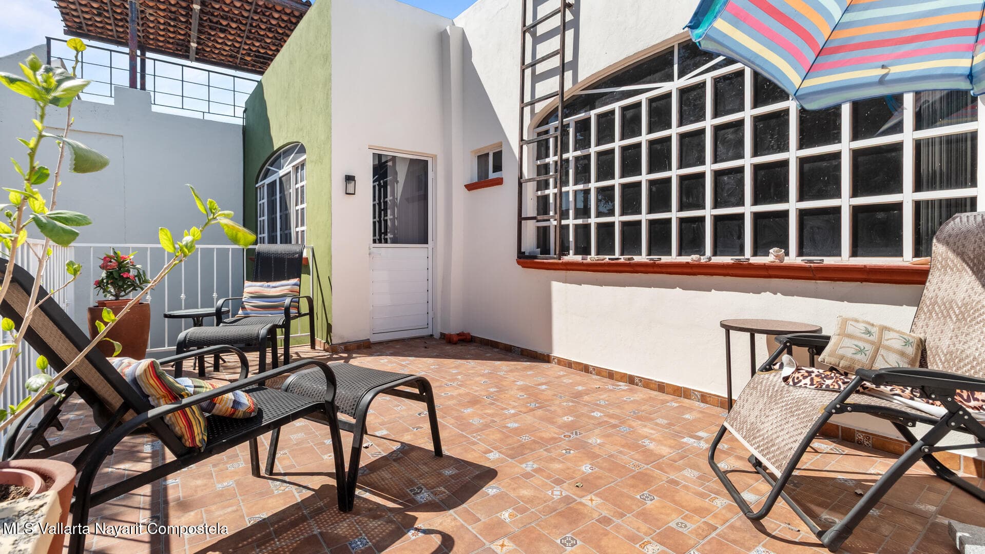 31 Parota 21