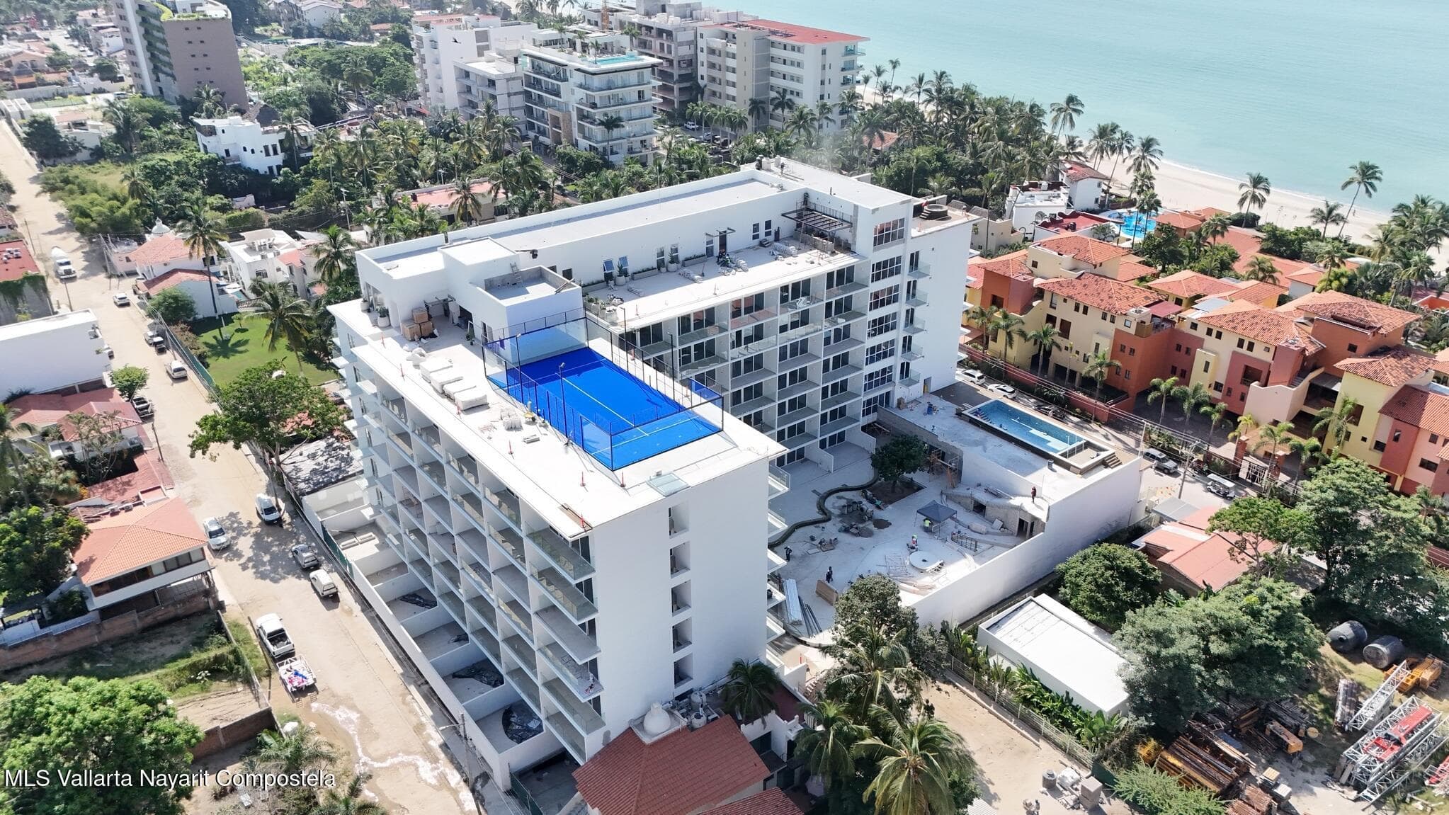 Jacana Ocean Life 16