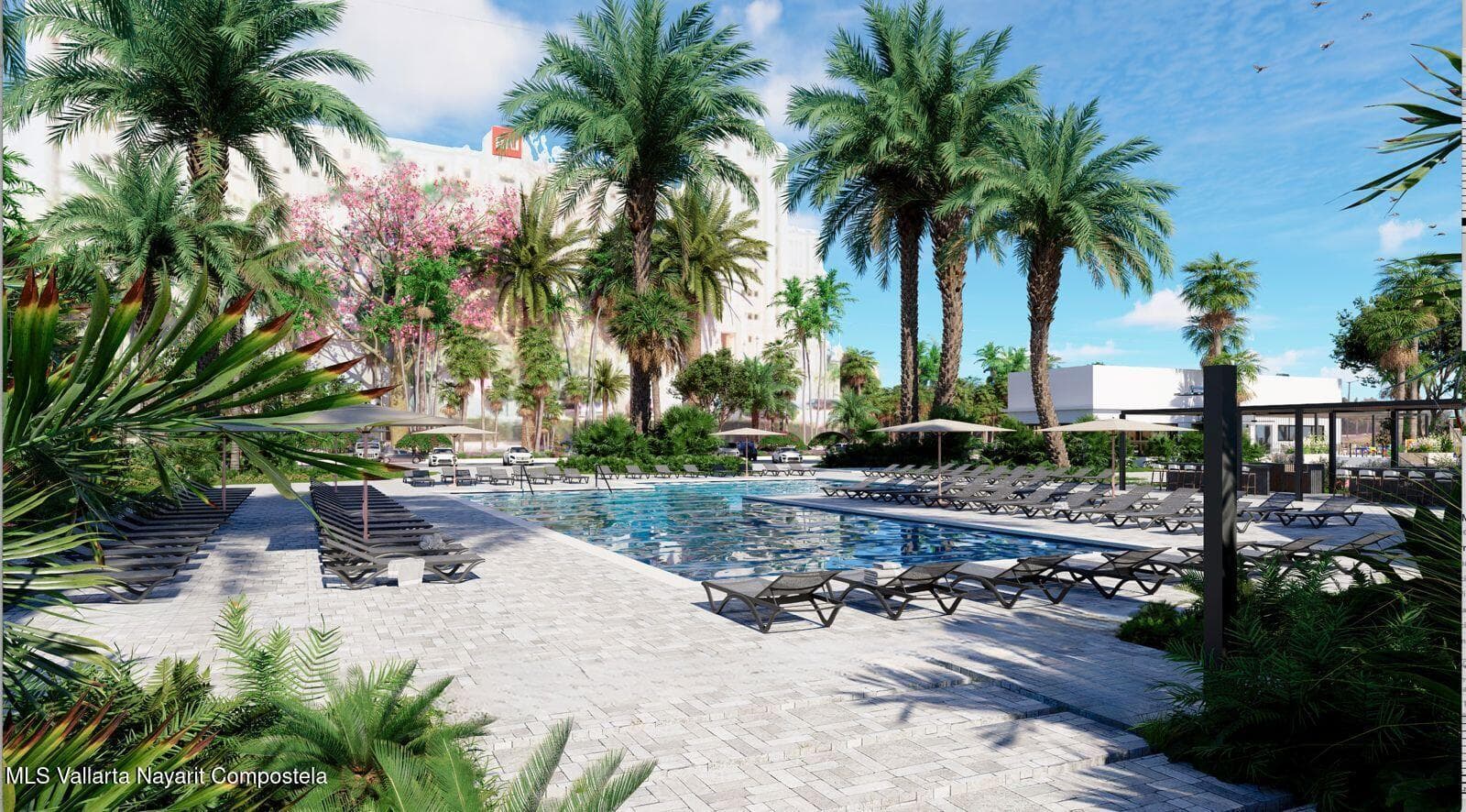 Flamingos Paradise 4