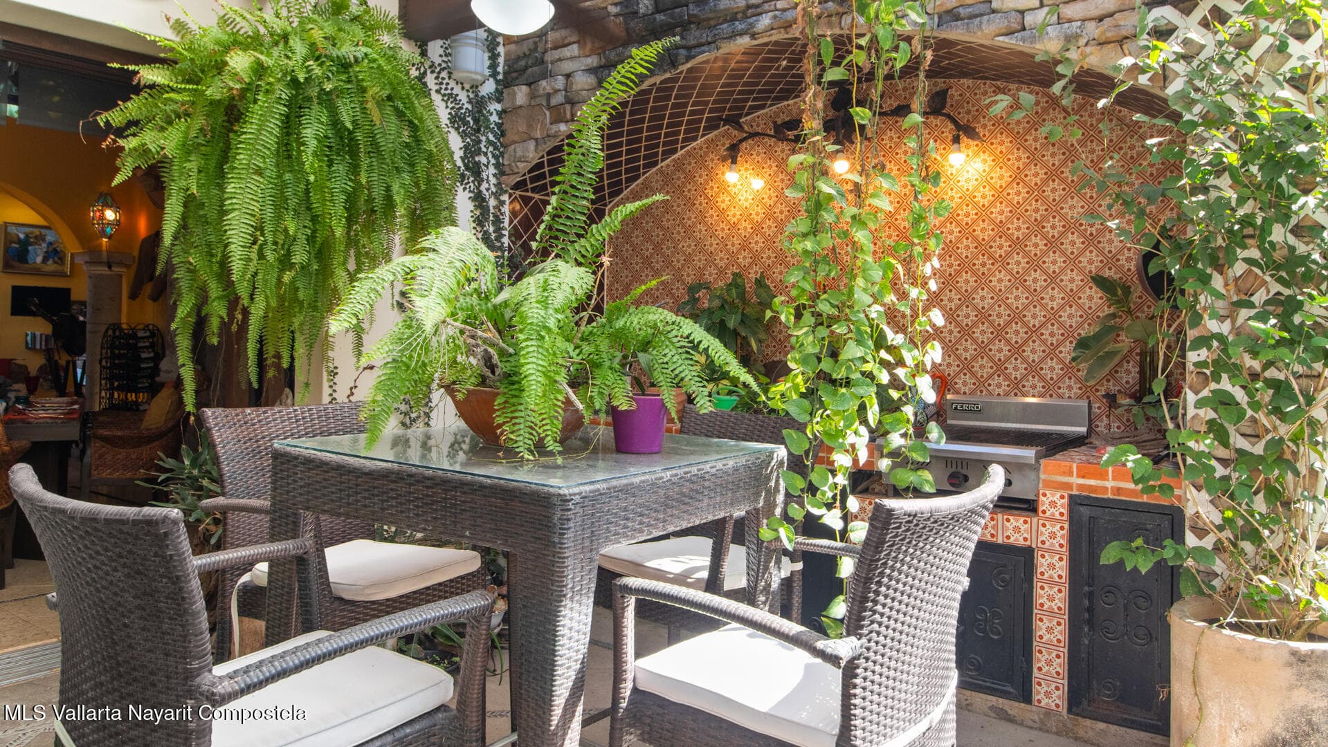 254 Calle Iguanas 16