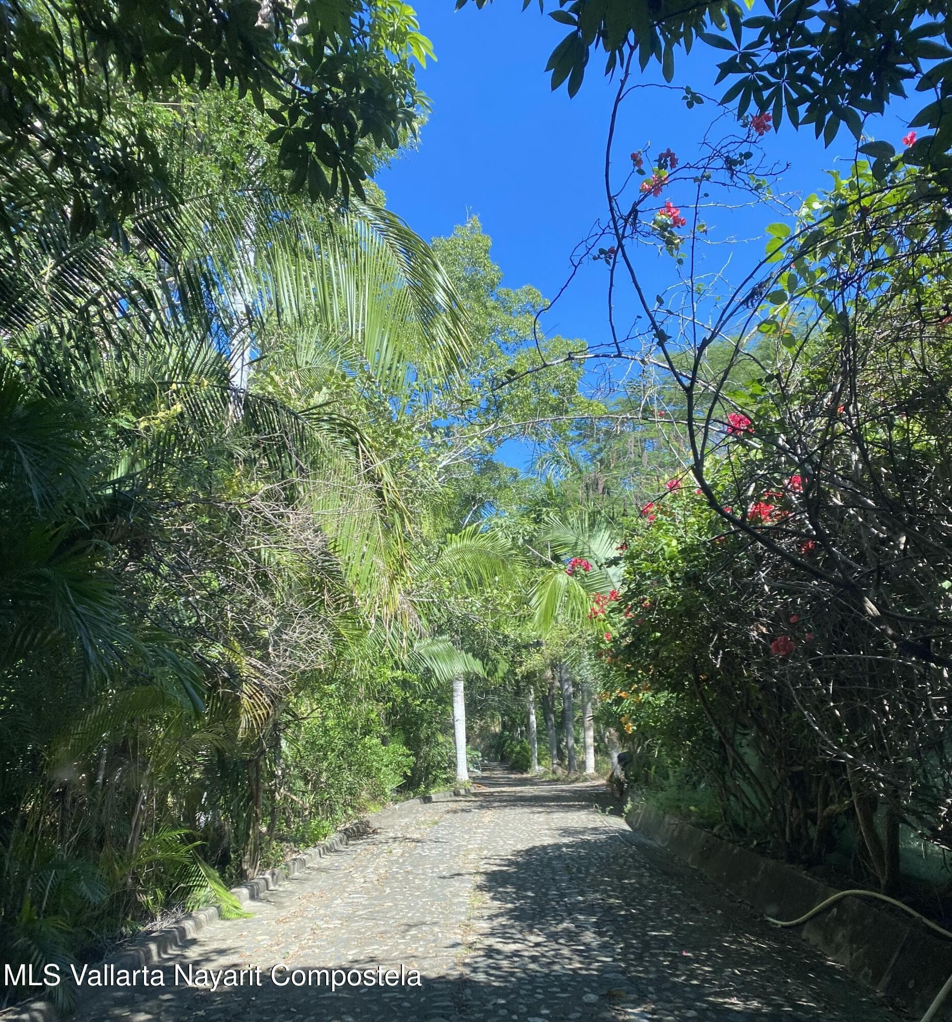 13.8 Carr Punta de Mita 5