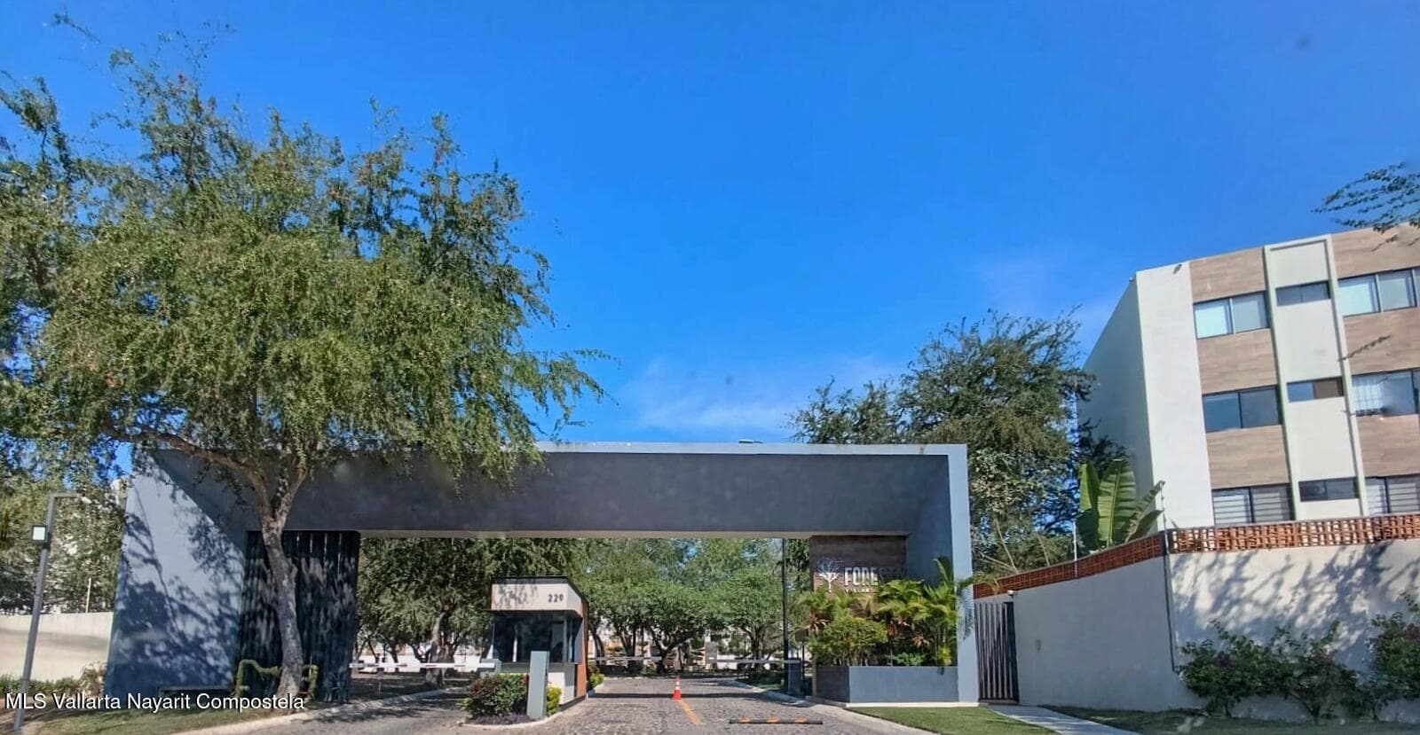 205 Paseo Foresta 23