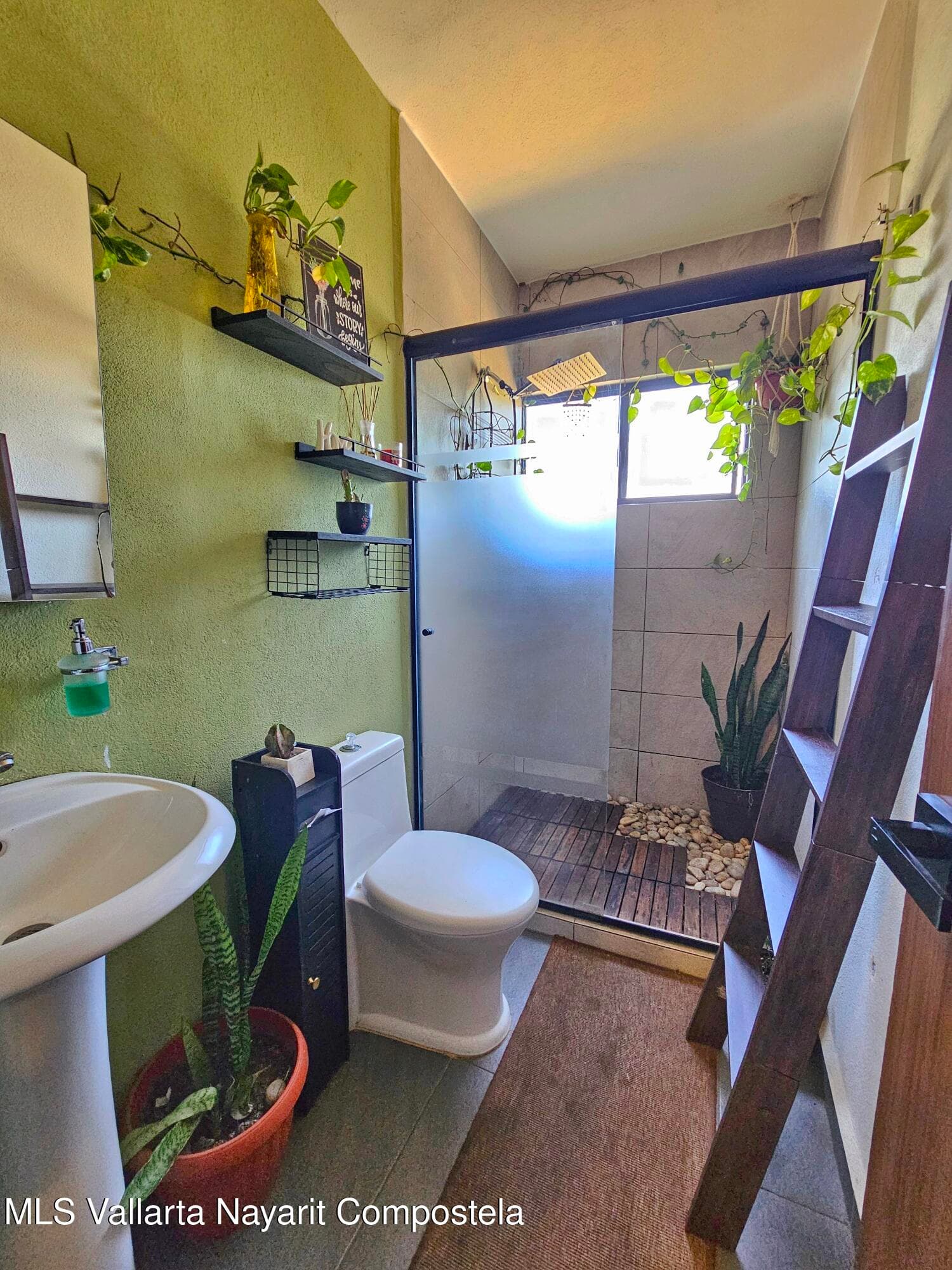 205 Paseo Foresta 16
