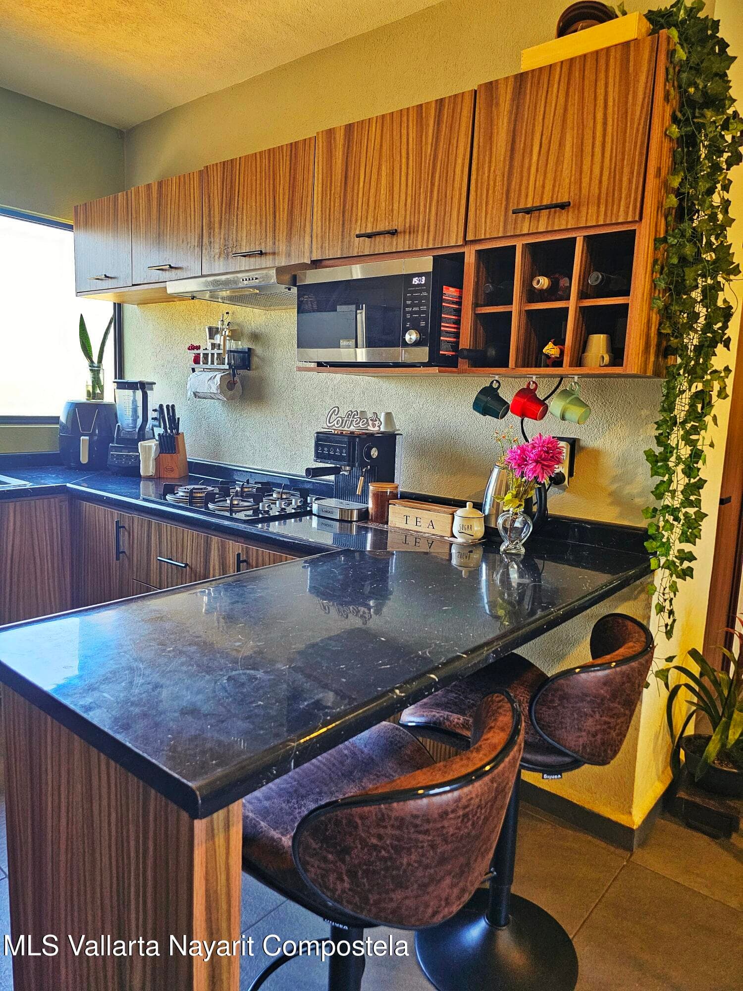 205 Paseo Foresta 4