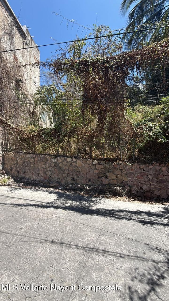 484 Del Bosque L5 / MZ 484 2