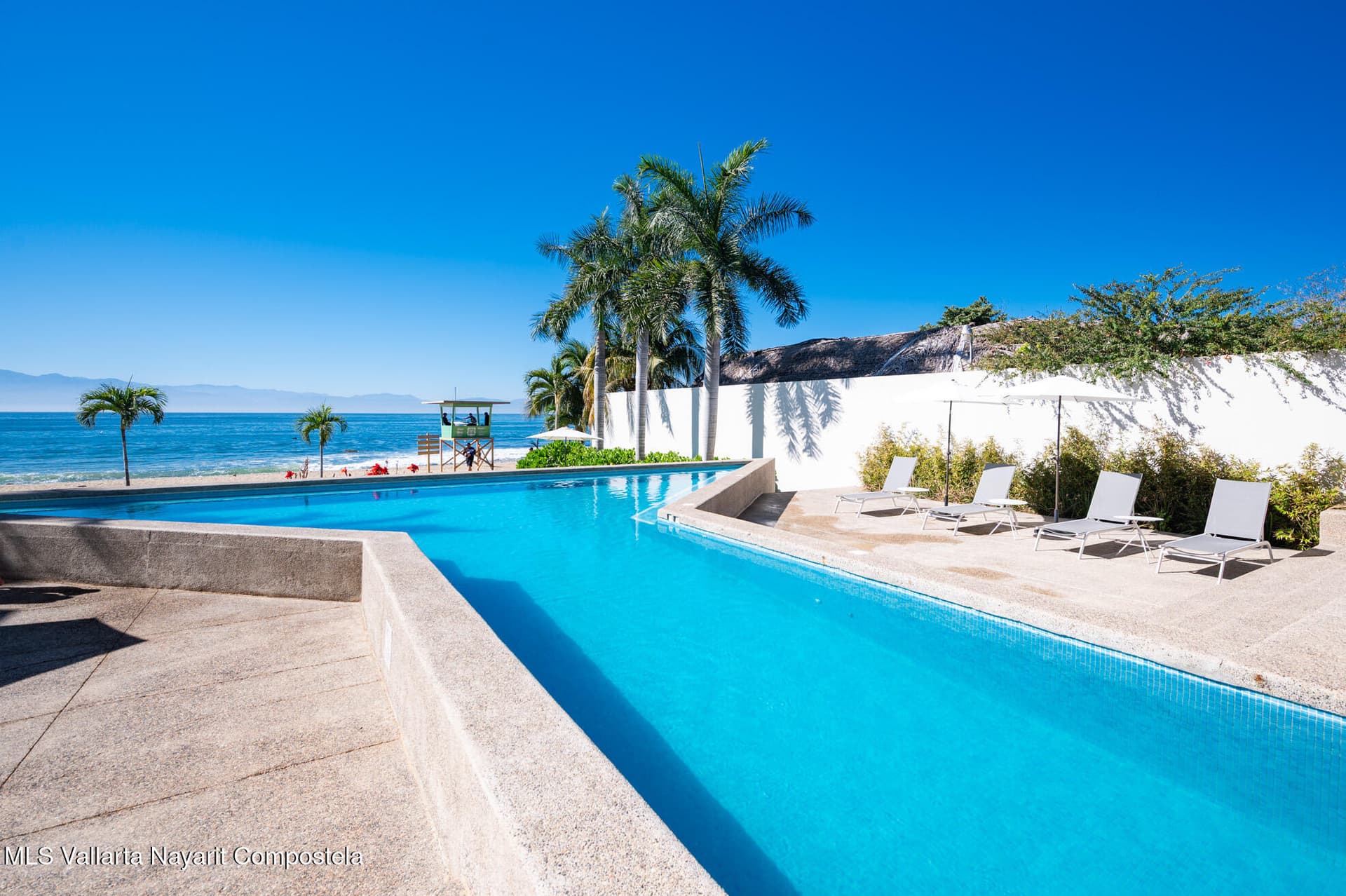 Zantamar 6