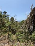 0 Lote 10 M- 5 5
