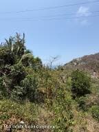 0 Lote 13 Manzana 5 6