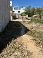 25 Univ. Autonoma de Chihuahua 4