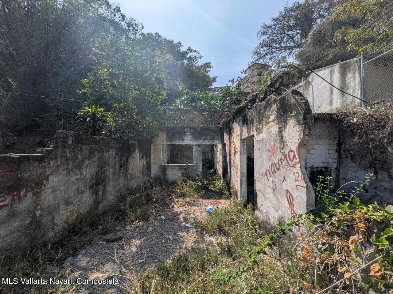 384 Costa rica 6