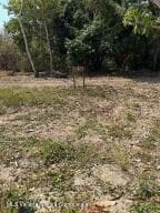 1603 L10 Amado Nervo 8