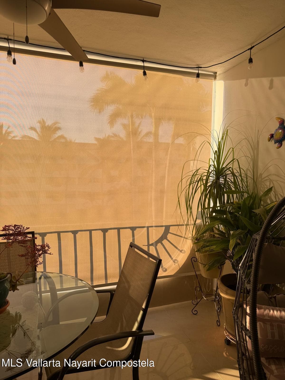 Royal Pacific Yacht Club 33