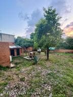 118 Punta de Mita 3