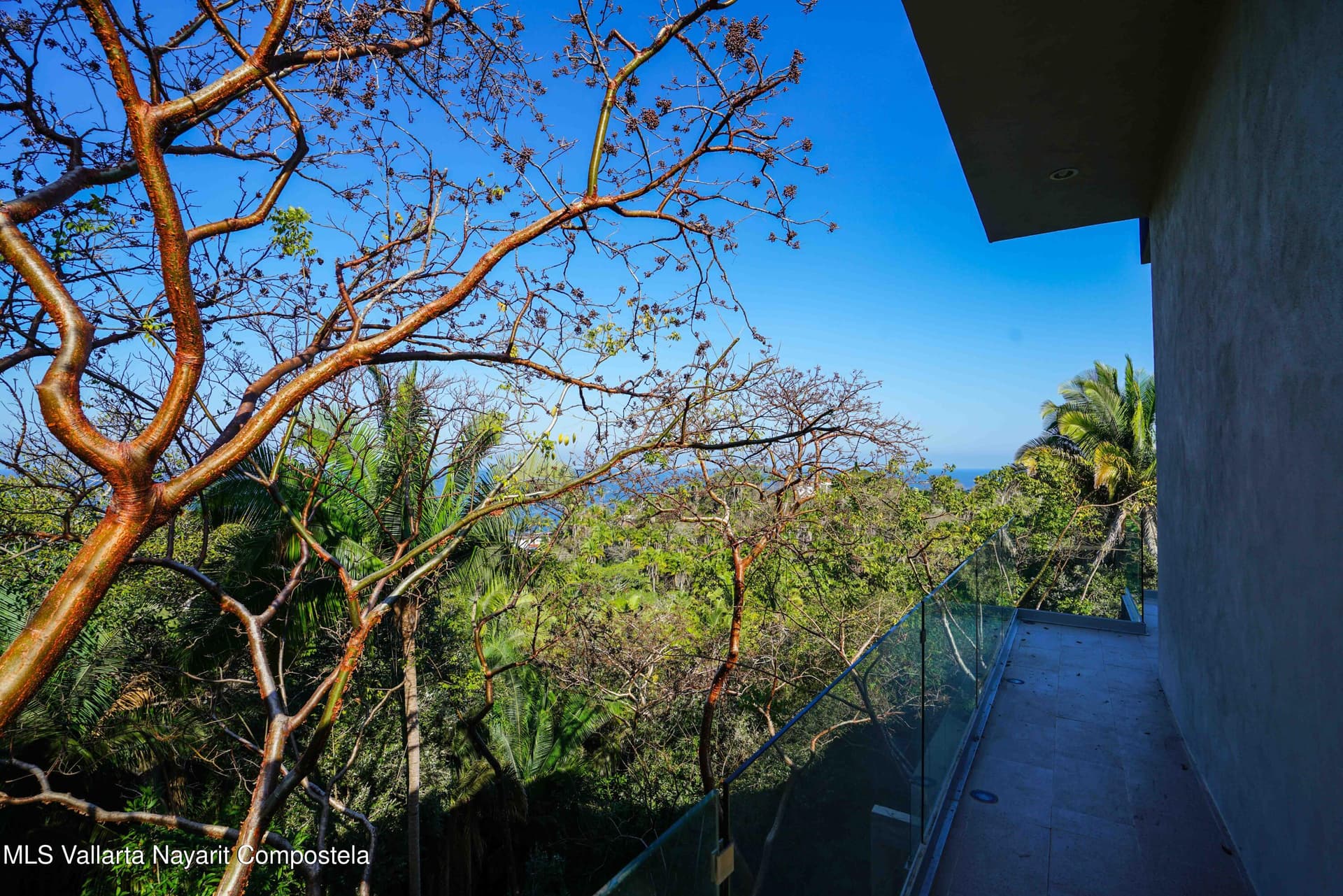 23 Condominio Selva Azul 5