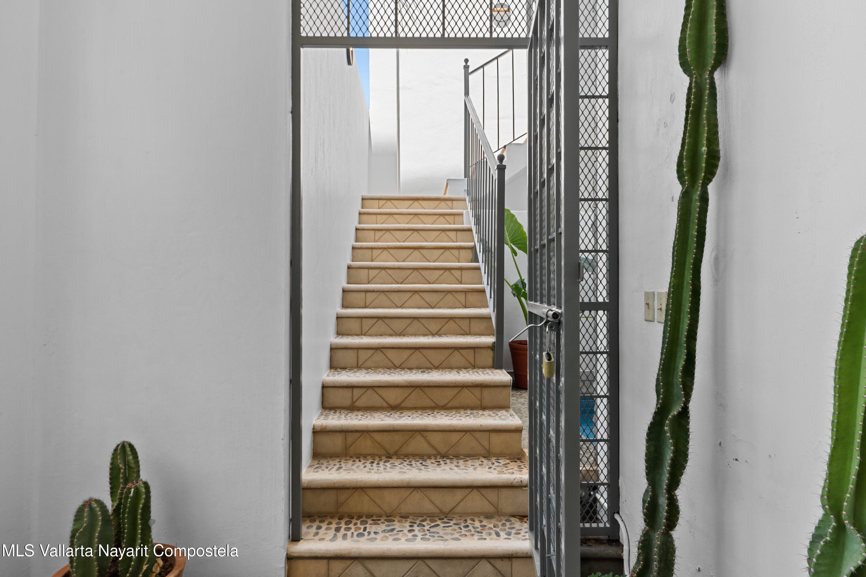 363 Prol. Allende 19