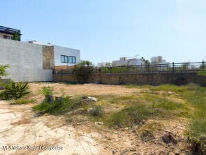 499-29 Av Palmares 2