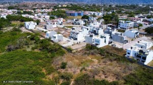 499-29 Av Palmares 5