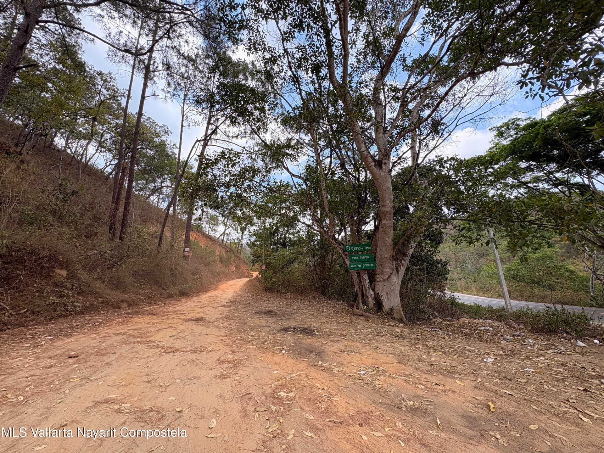 LOTE 11 MANZANA 3, ZONA 1 15