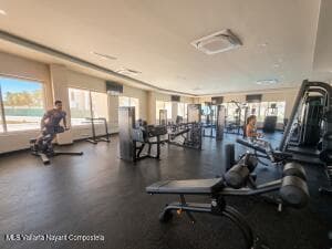 Lot 2 Blvd Nayarit 145 Blvd 14