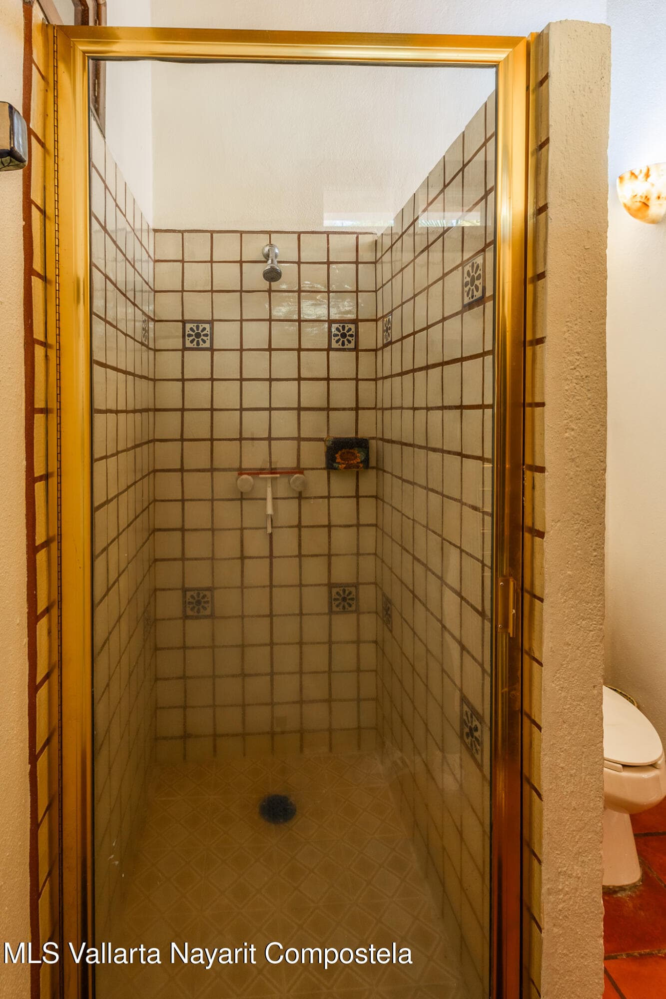103 Privada Parota 29