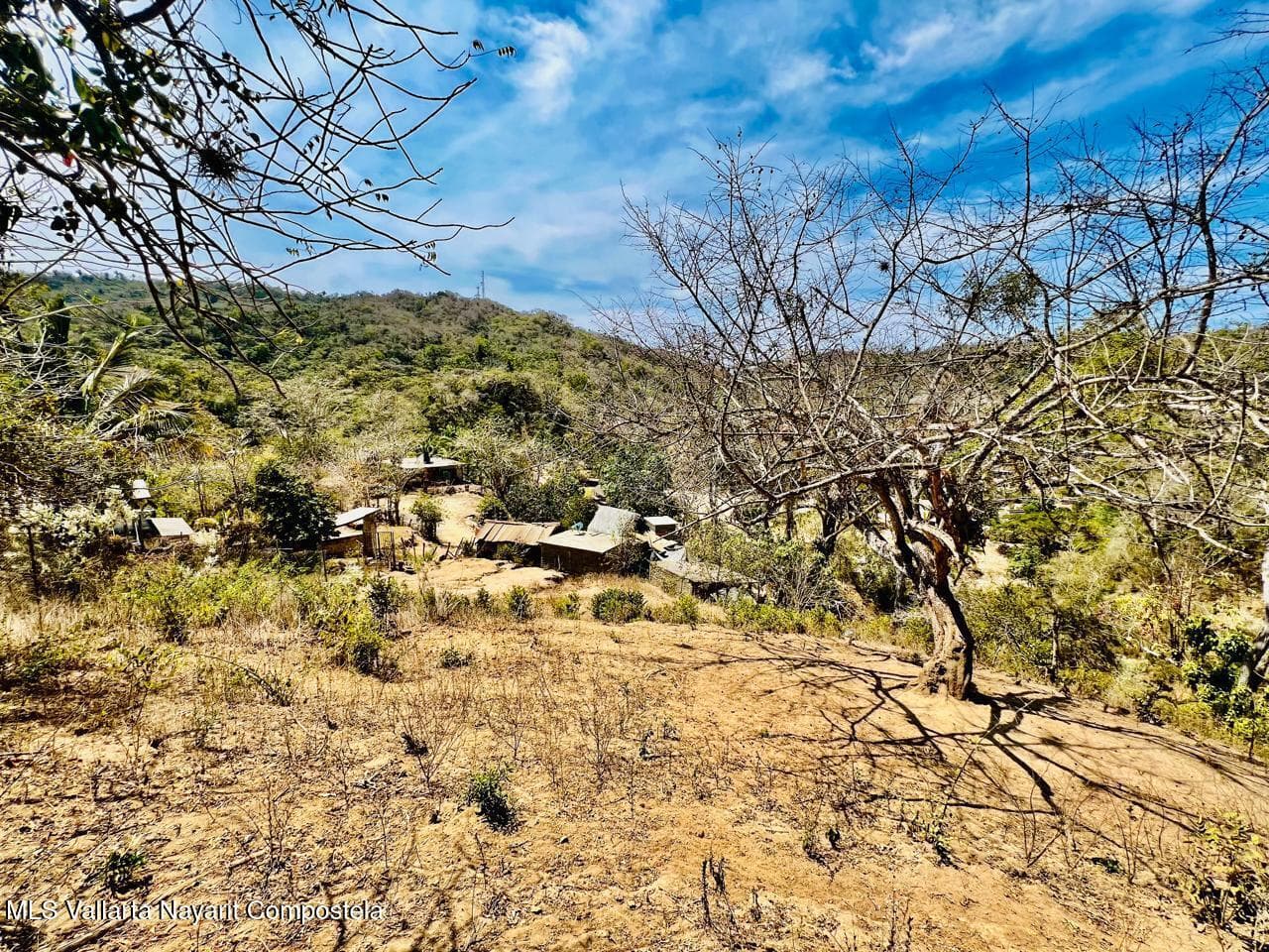 LOTE 19 Higuera Blanca 63726 9