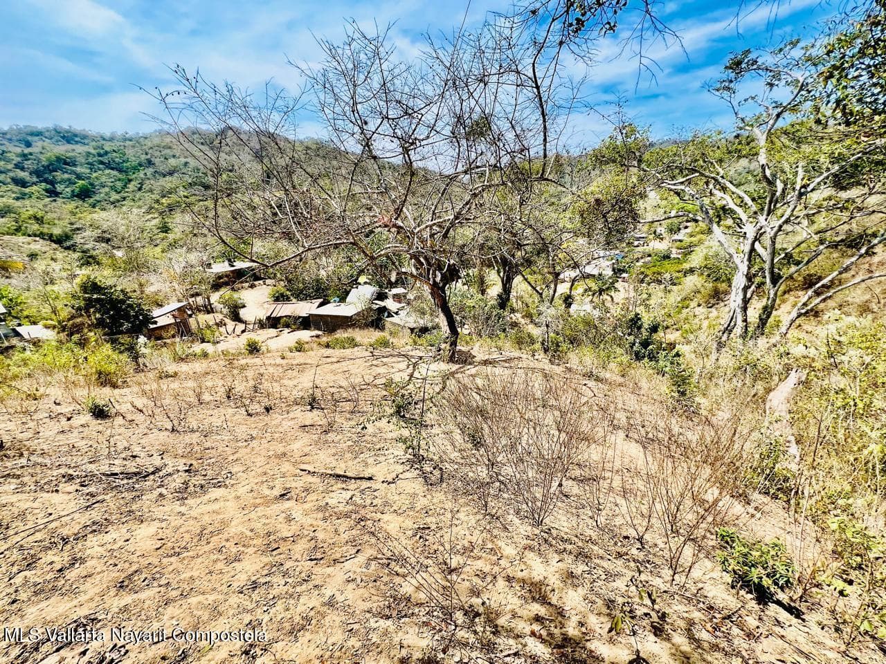 LOTE 19 Higuera Blanca 63726 10