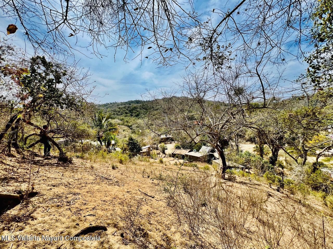 LOTE 19 Higuera Blanca 63726 11