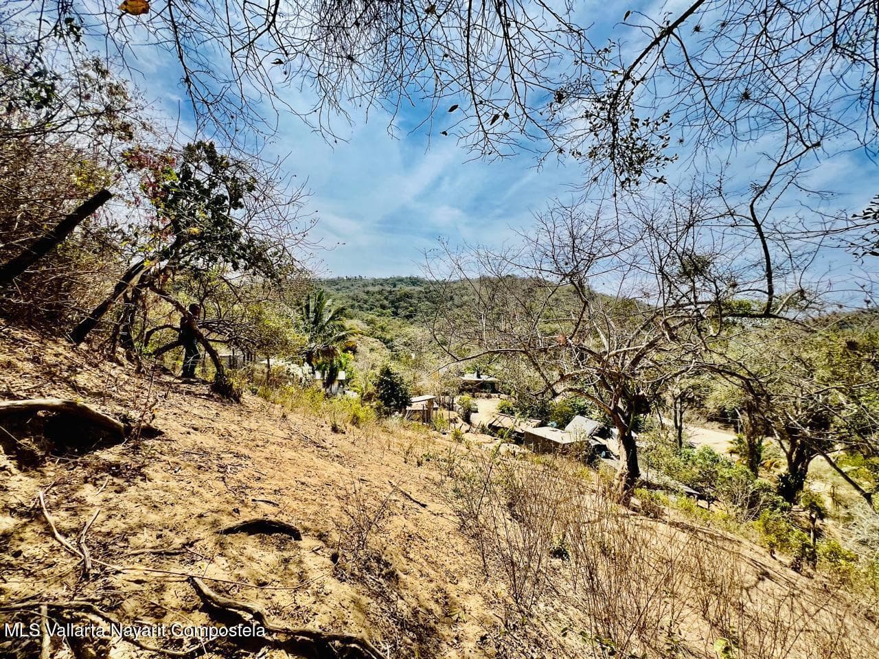 LOTE 19 Higuera Blanca 63726 12