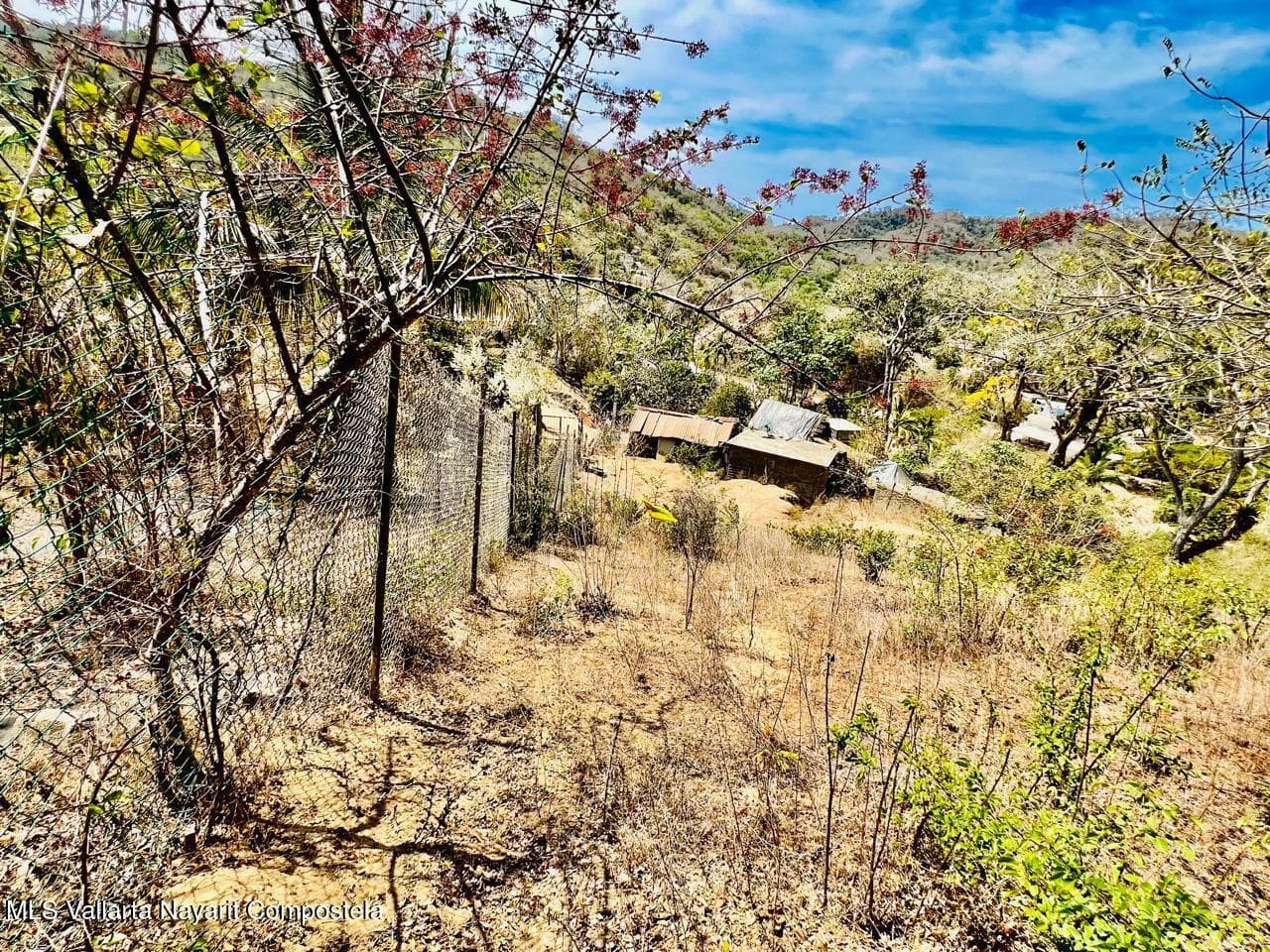LOTE 19 Higuera Blanca 63726 14