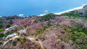 Fraccion A Parcela 1316 Sayulita 15