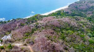 Fraccion A Parcela 1316 Sayulita 16