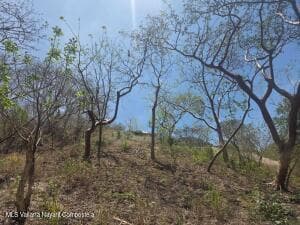 Fraccion A Parcela 1316 Sayulita 22