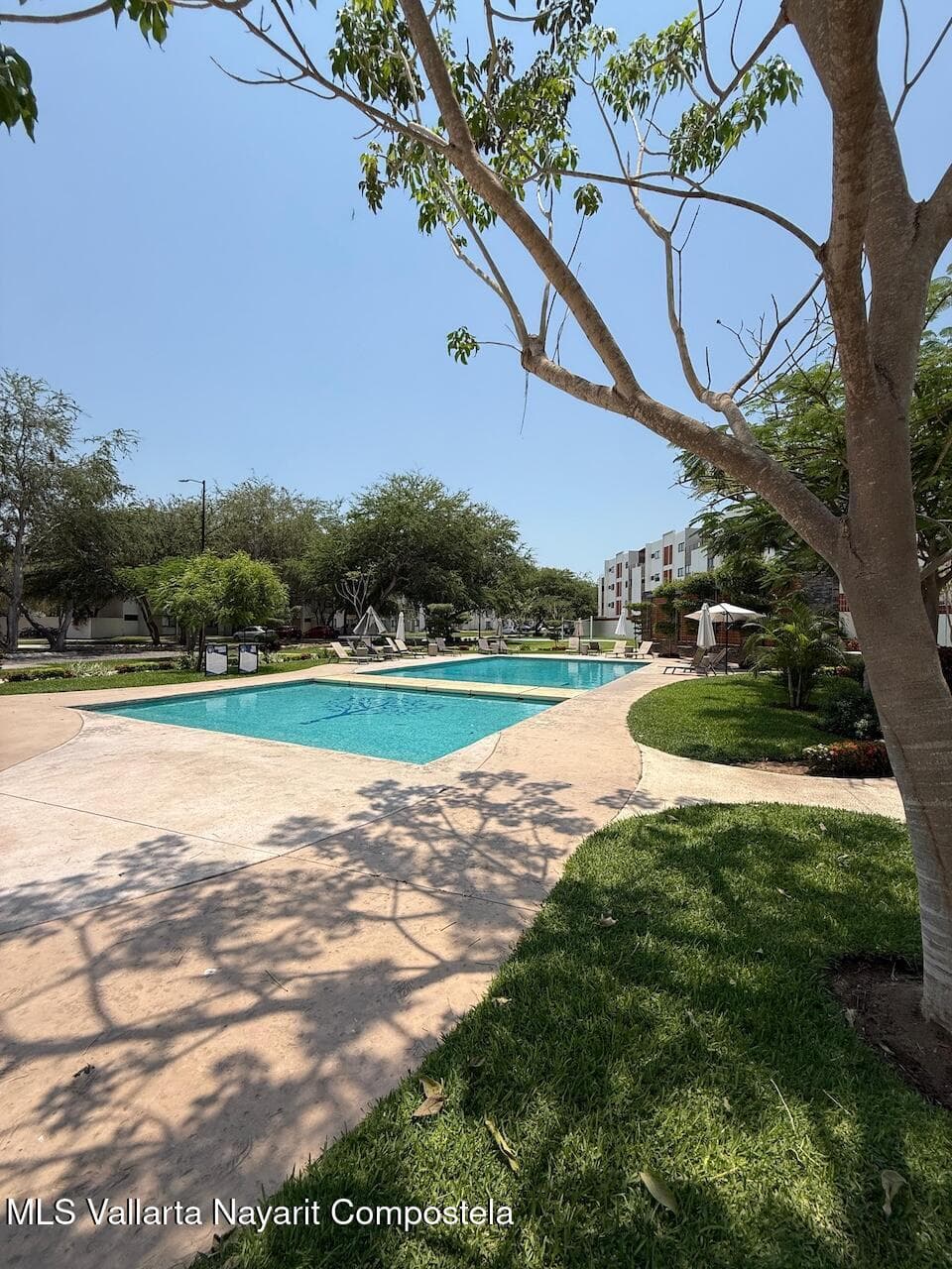 Condo 15