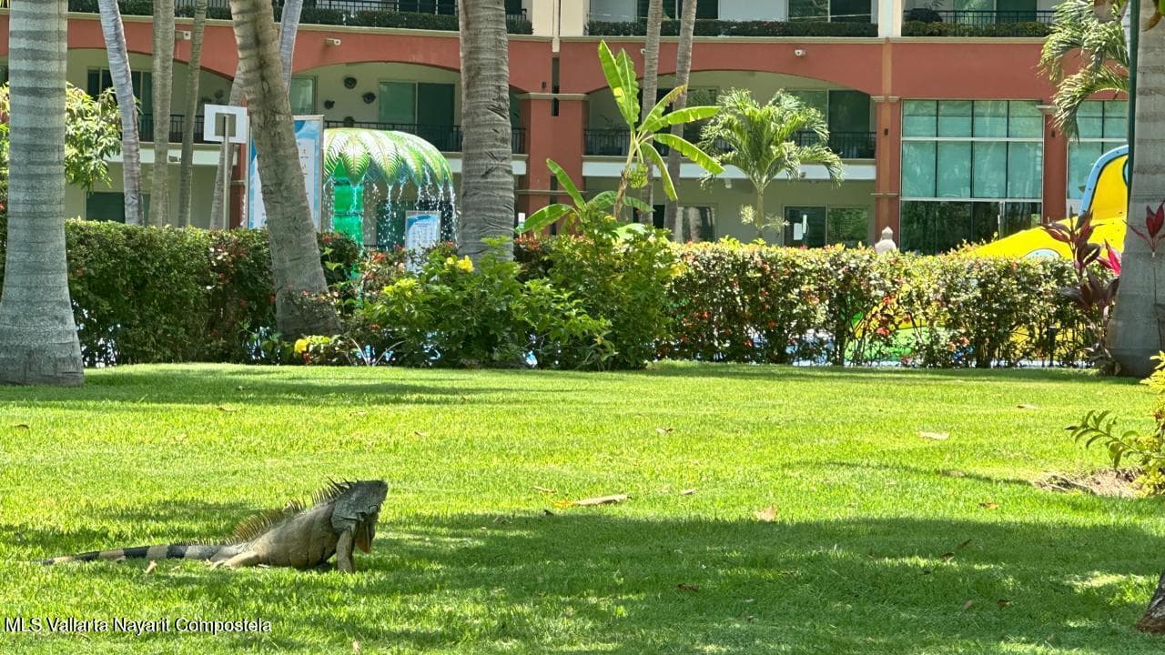 Playa Royale 36
