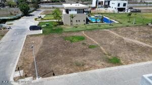 158 PALMA DEL REY Cto Palma Real 2