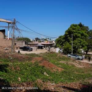 122 jacarandas 3