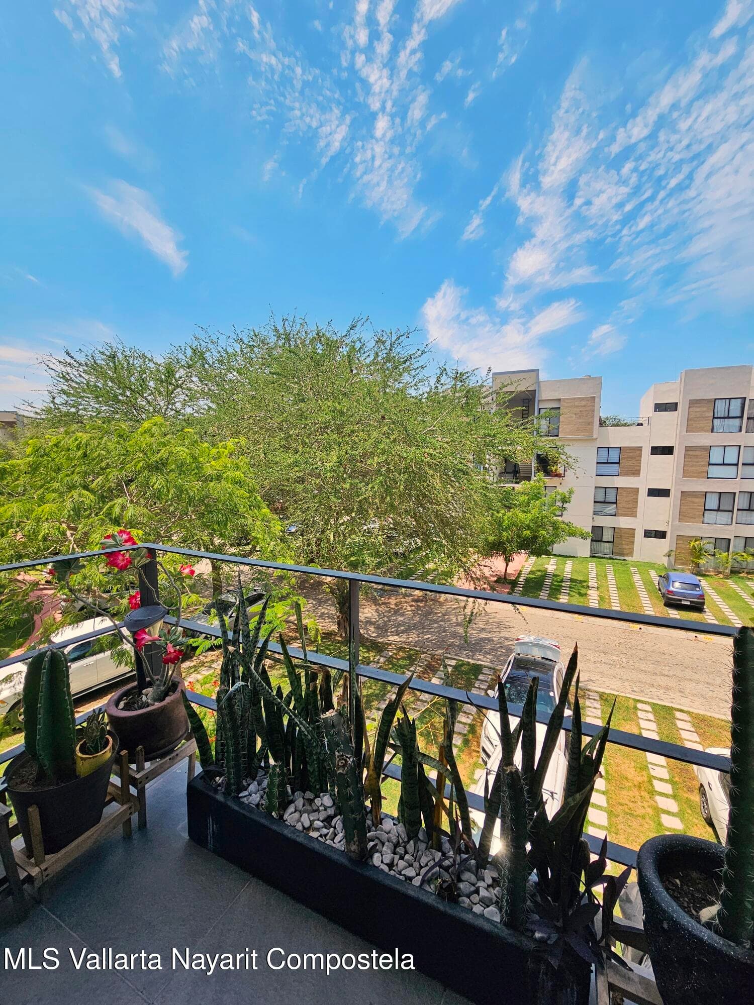 205 Paseo Foresta 20