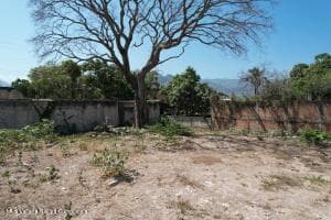 lote 16 10 de Mayo 4