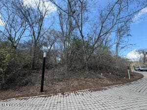 307 Paseo del Colibri BOLONGO 11