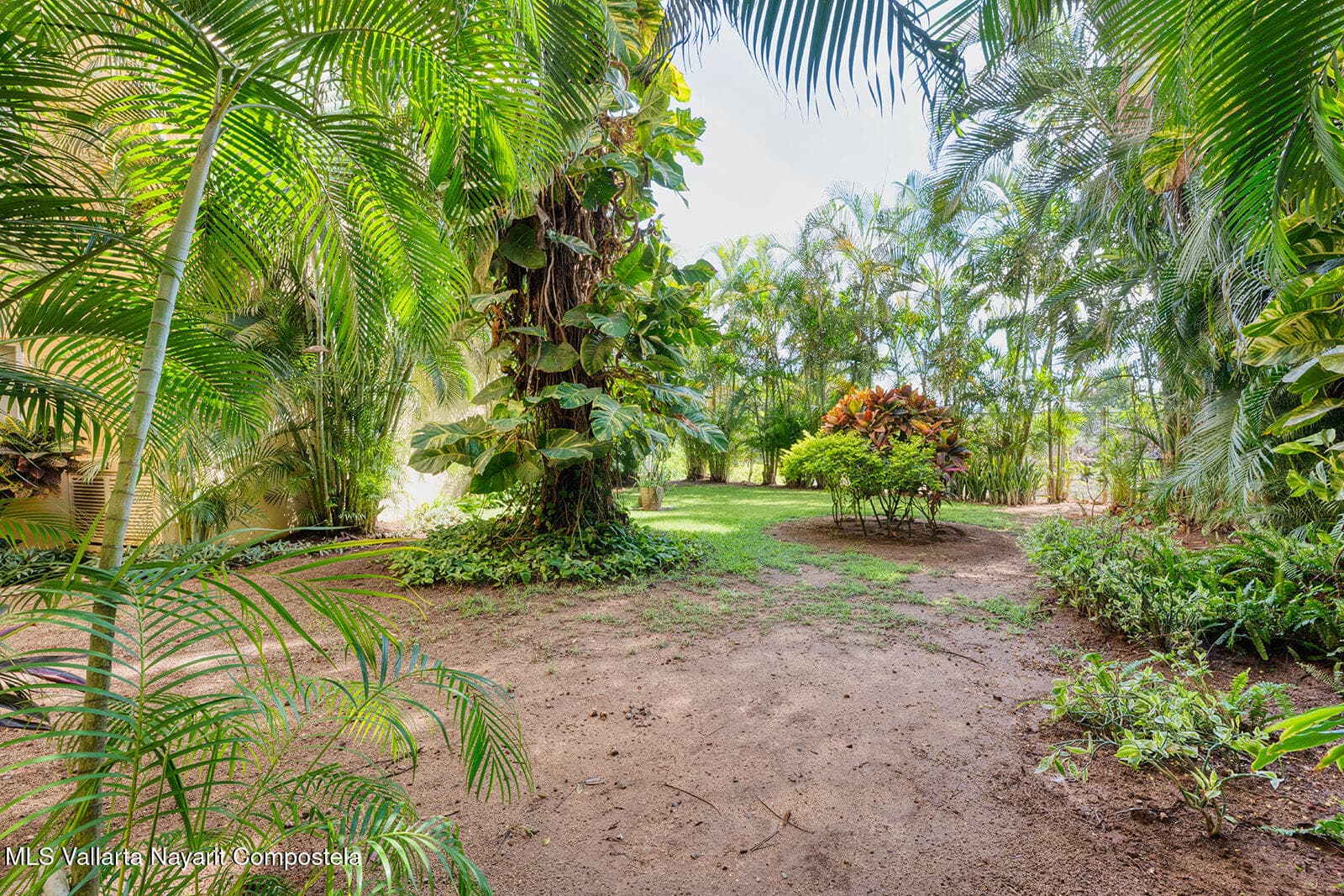 1049 Paseo de los Cocoteros 13