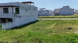 18 Tortugas Norte 10
