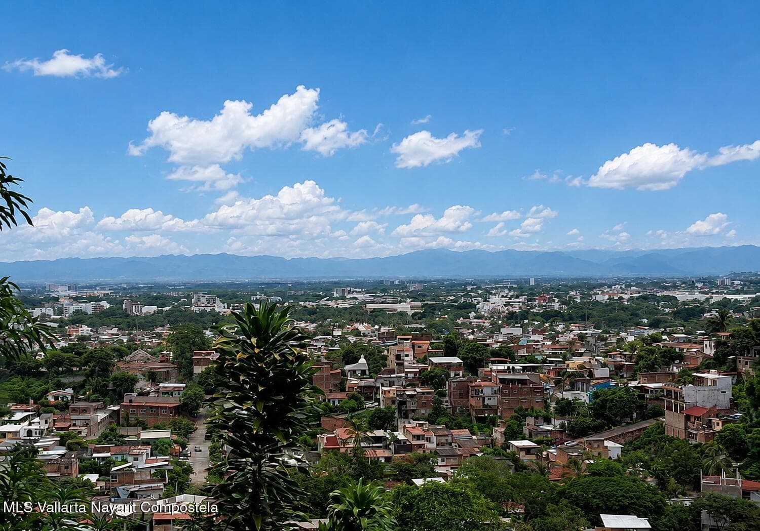 SN Rio Papaloapan 4